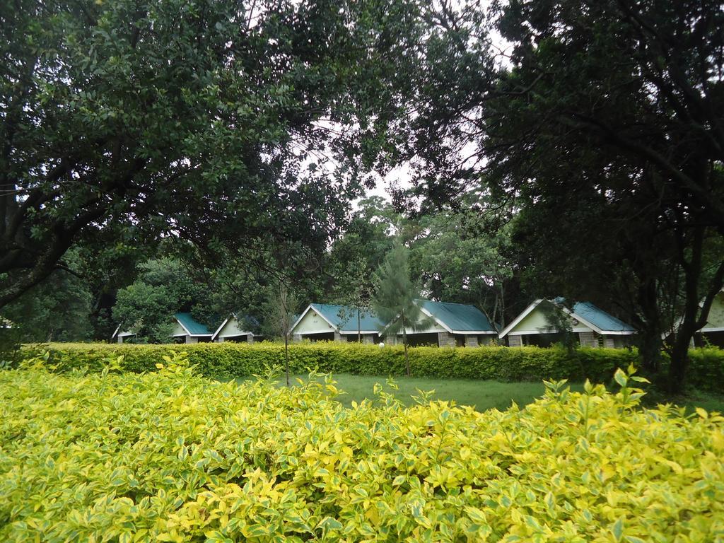 Rhino Tourist Camp Hotell Ololaimutiek Exteriör bild