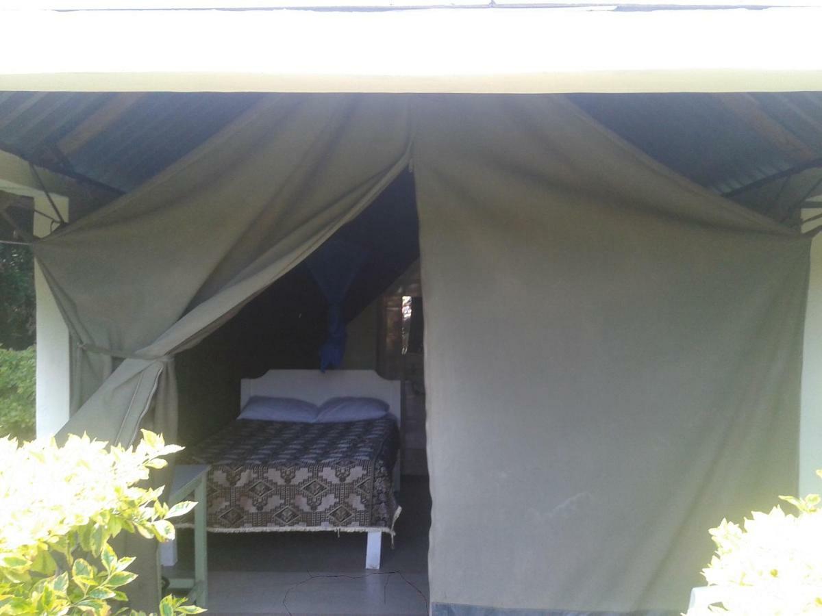 Rhino Tourist Camp Hotell Ololaimutiek Exteriör bild